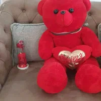 خرس پولیشی قرمز