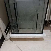 اکواریوم ابشور