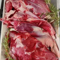 پخش گوشت شترمرغ