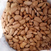 بادام درختی کوهسرخ