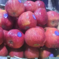 نیروی صندوقدار خانم