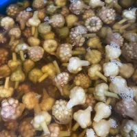 گل سیر|خوردنی و آشامیدنی|طارم (زنجان), |دیوار