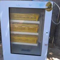 دستگاه جوجه کشی ۱۲۶  تایی فاخته