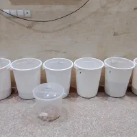 سطل حبوبات