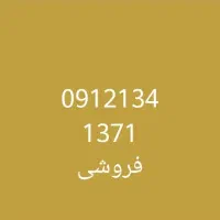 09121341371