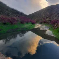 تور لیدر محلی به همراه خودرو