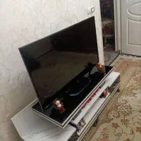 تلویزیون