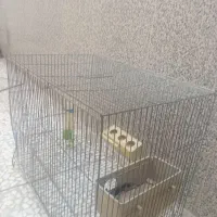 قفس پرند