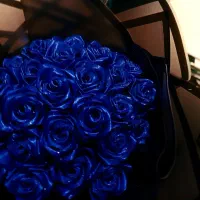 گل ربات