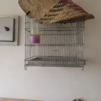 قفس