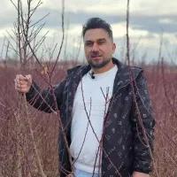 نهالستان گردو دیرگل و نهال پربار پالیز