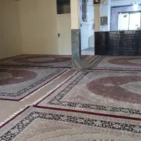۵عدد فرش ۱۲ متری دونهای ۳۰ میلیون