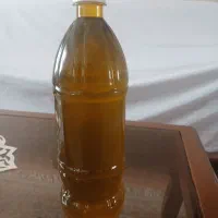 روغن زیتون رودبار