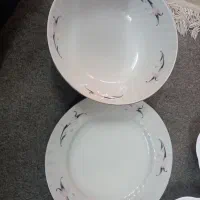 سالاد خوری و پلو خوری