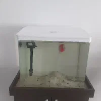 اکواریوم شرکتی دلسا