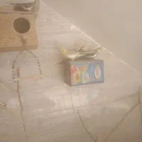 تعداد طوطی عروس هلندی .