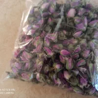 گل محمدی غنچه وگل برگ
