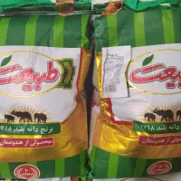 برنج طبیعت