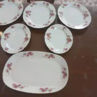 تعدادی دیس گل قرمز