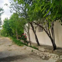 باغ میوه به مساحت ۳۳۰۰ متر در کله دشت- غرق آباد