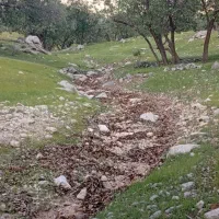 باغچه ۹۰۰متری معاوضه با خودرو