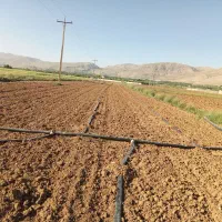 تجهیزات آبیاری مه پاش زیر قیمت بازار