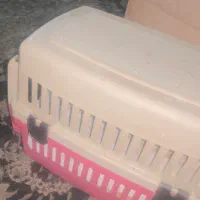 باکس سگ