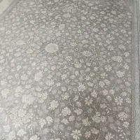 دو عدد فرش ۱۲ متری