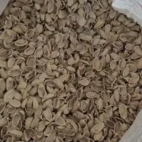 خریدار پوست پسته