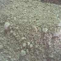 سویا|خوردنی و آشامیدنی|کارون, |دیوار