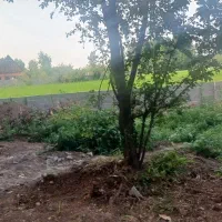 ۲۰۰ متر زمین مسکونی با نامه بنیاد گیلان/ رشت/ سنگر