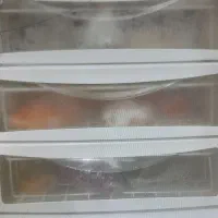 یخچال اورست