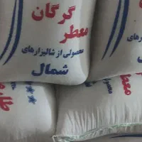 برنج رشتی طارم  فقط کیسه ای ۲۸۰۰