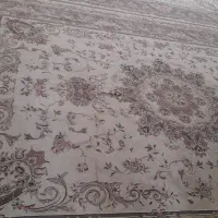 قالی سفید یا شکری