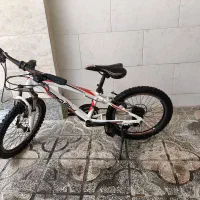 دوچرخه فلش کوهستان
