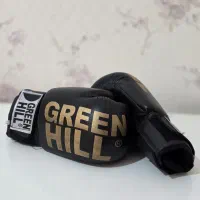 دستکش بوکس مدل lion fiter 2002