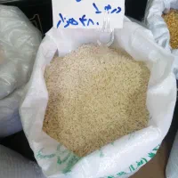 برنج خوش پخت برنج ایرانی