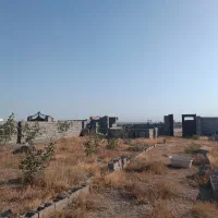 فروش-باغ-پسته