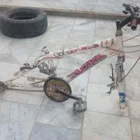تنه 20 لاتانی