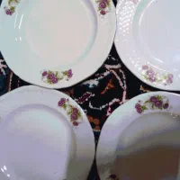 9عدد پیشدستی برنجخوری گلسرخی