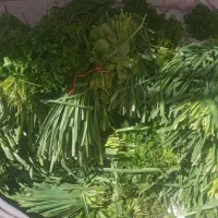 سبزی قرمه سبزی اصل نیسابور
