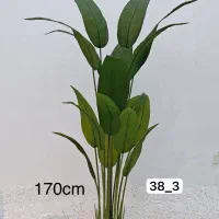 درختچه مصنوعی خارجی تعداد ب شدت محدود