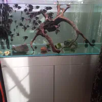 فروش آکواریوم