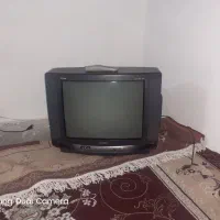 تلویزیون