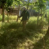 باغبانی  کاشت گل گیاه  علف زنی چوب  بری چمن کاری