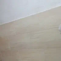 کبوترپلاکی
