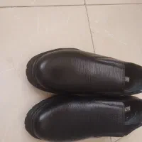 کفش|کیف، کفش، کمربند|مبارکه, |دیوار