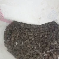 پلت نی شکر