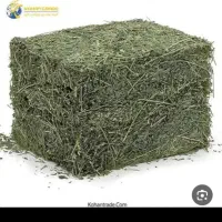 یونجه خشک چین دوم وسوم