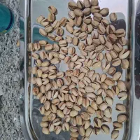 فروشنده خانم